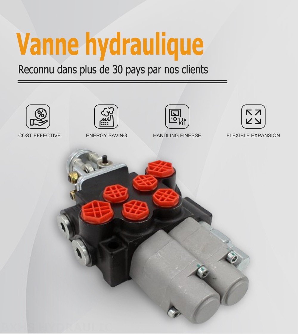 P40 Manuel et manette 2 distributeurs Distributeur directionnel monobloc